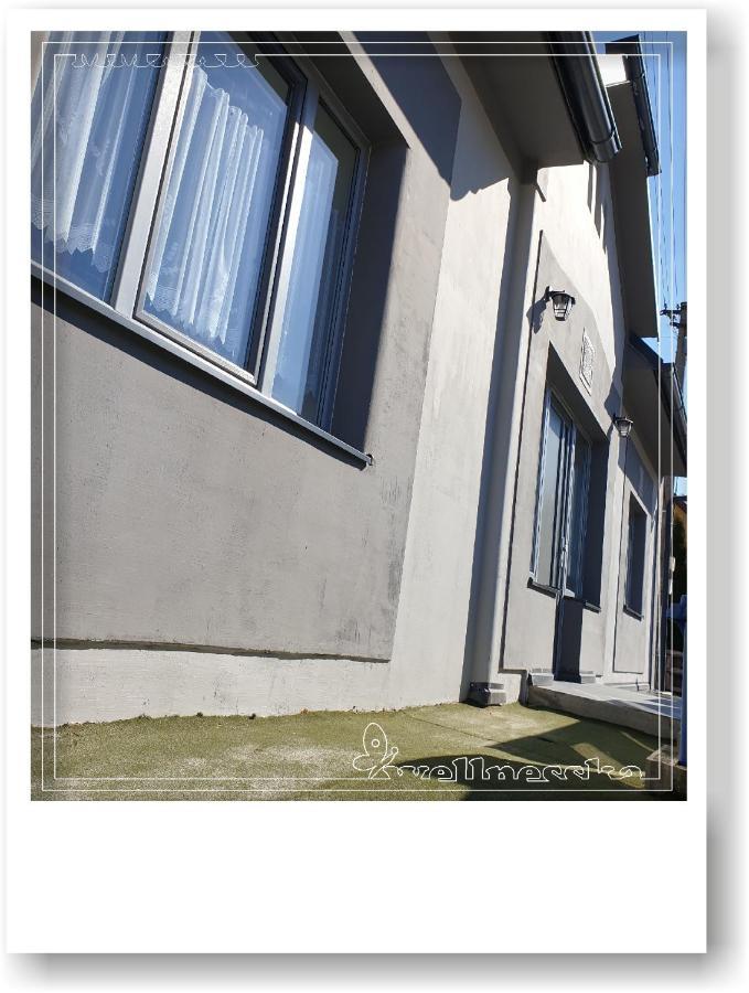 Villa Wellnesska Vyhne Exterior foto