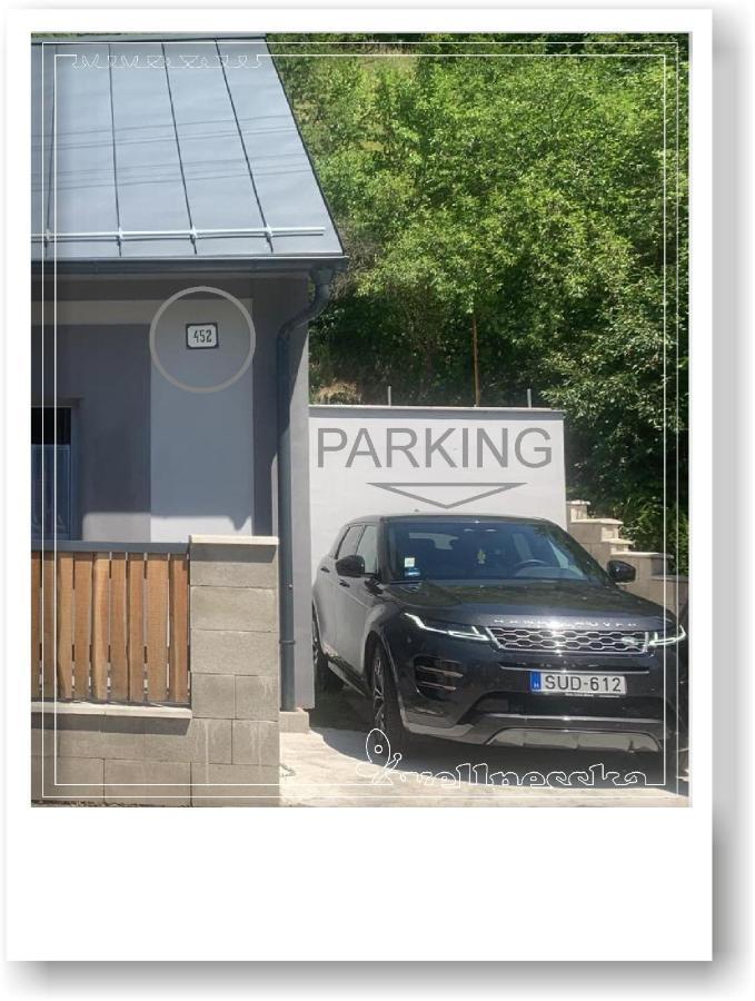 Villa Wellnesska Vyhne Exterior foto
